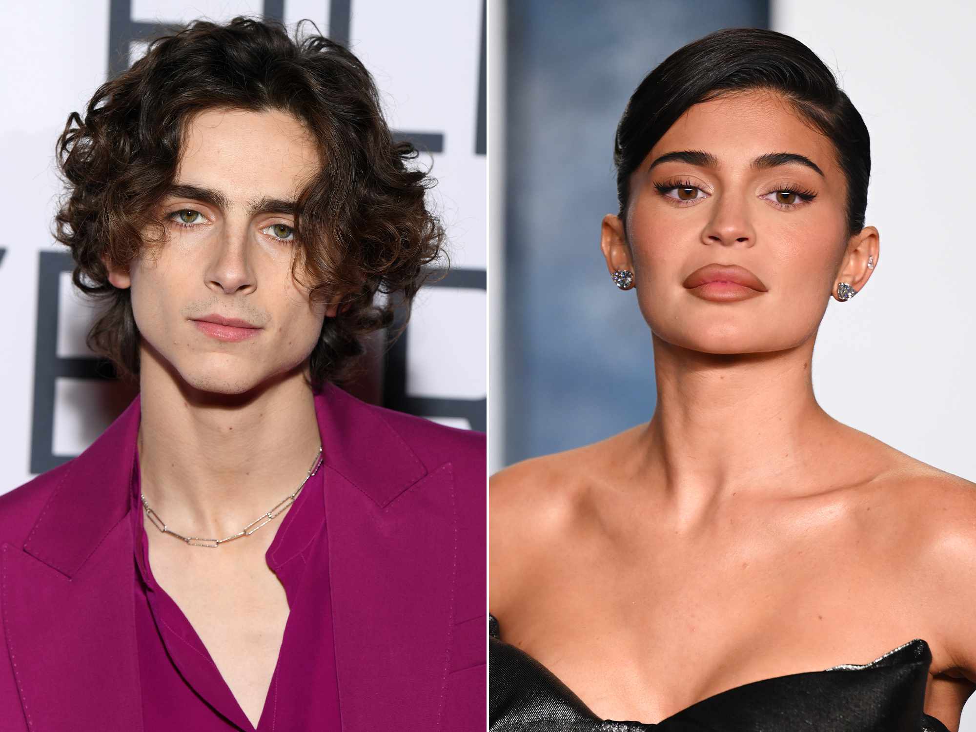 timothee-chalamet-kylie-jenner-b1a733458c9d4acea2a3cbcf2a32e4fc (1)