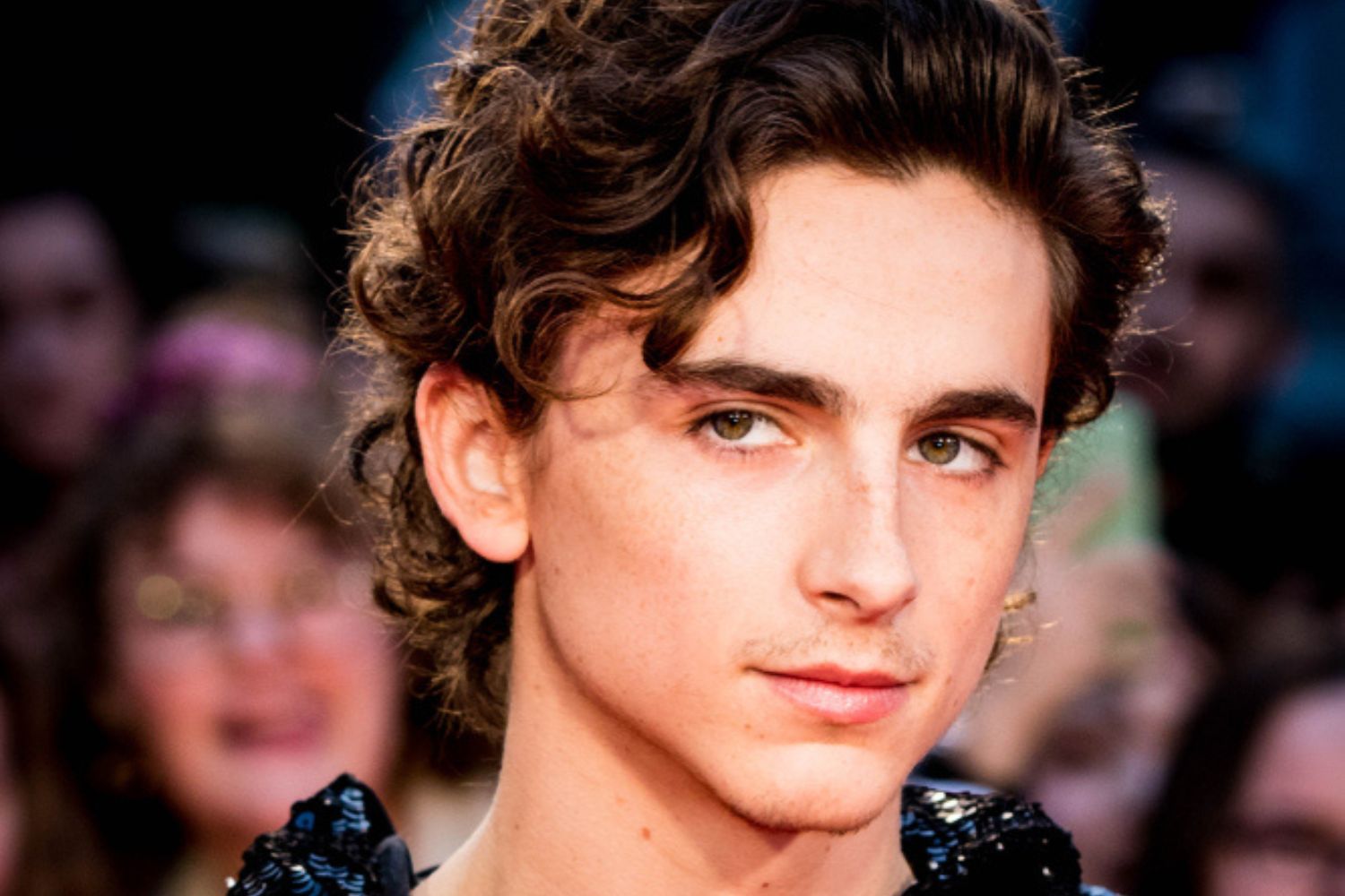 timothee-chalamet